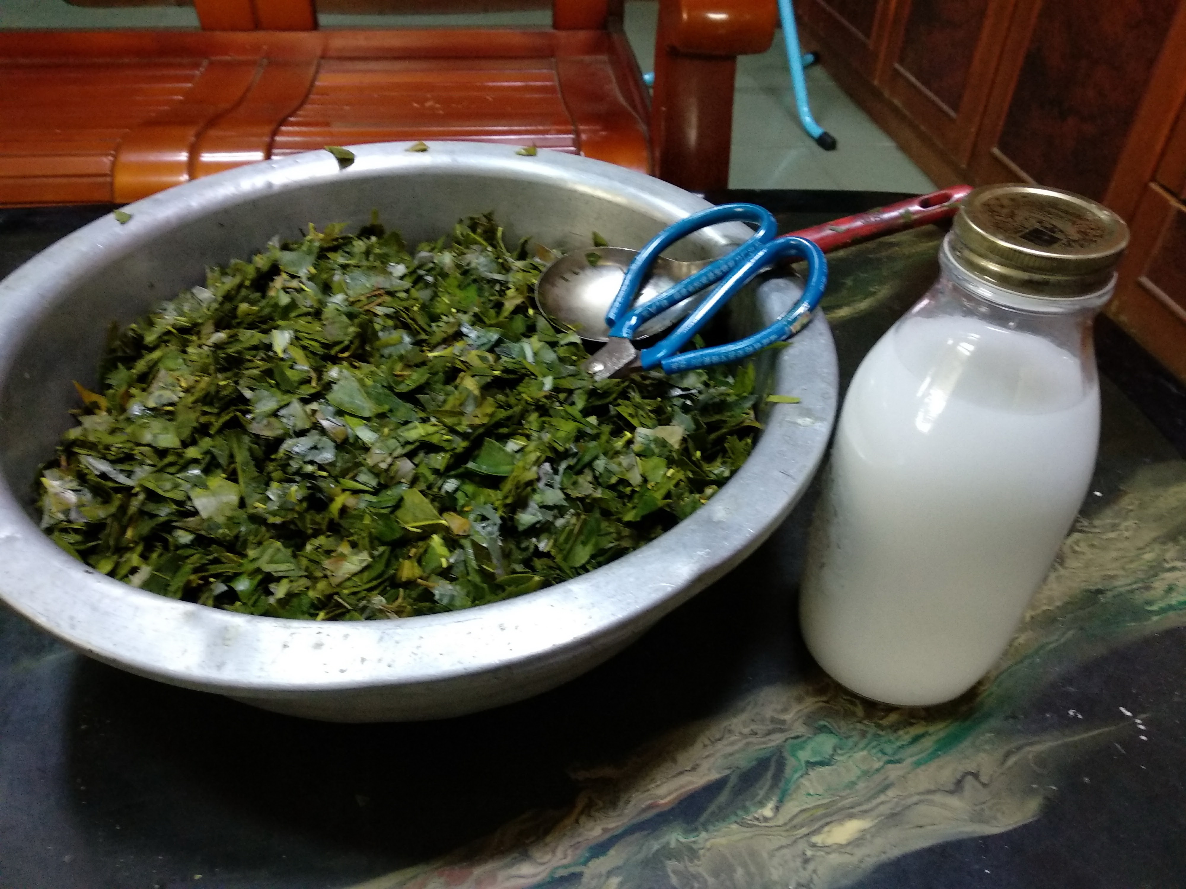 沈香樹枝葉片修剪葉片頭調配大自然機觸媒水除澀抗氧化