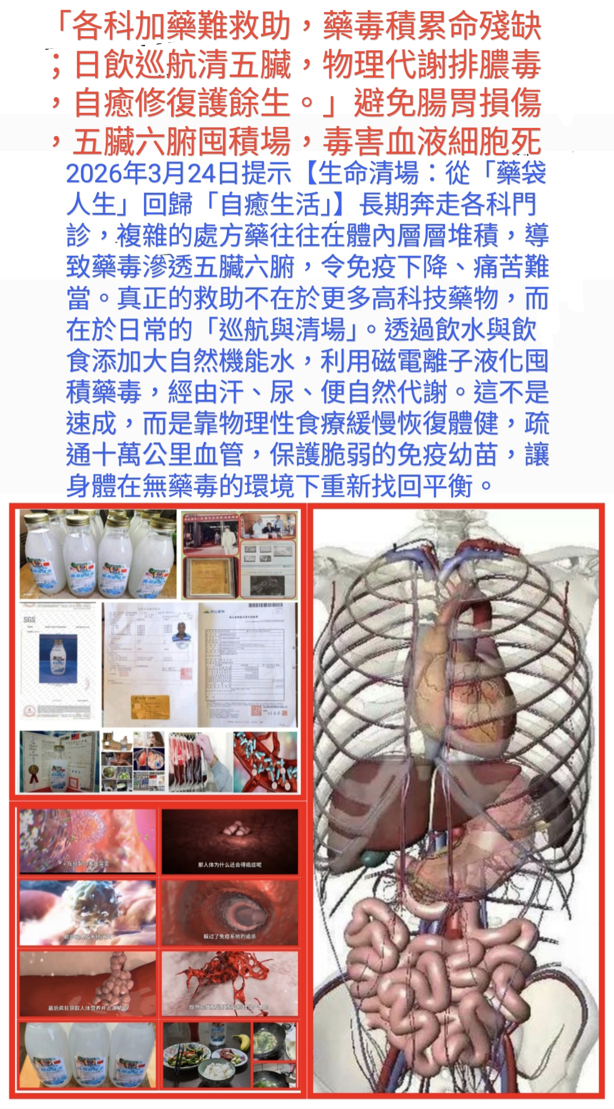 生命自癒之光：從化學失敗到物理清場的 26 年實證