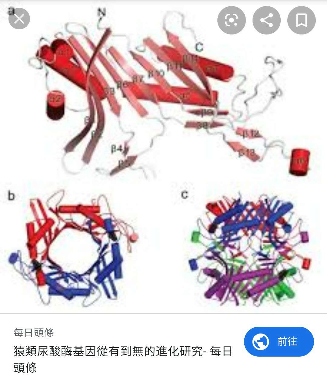 生化酶基因