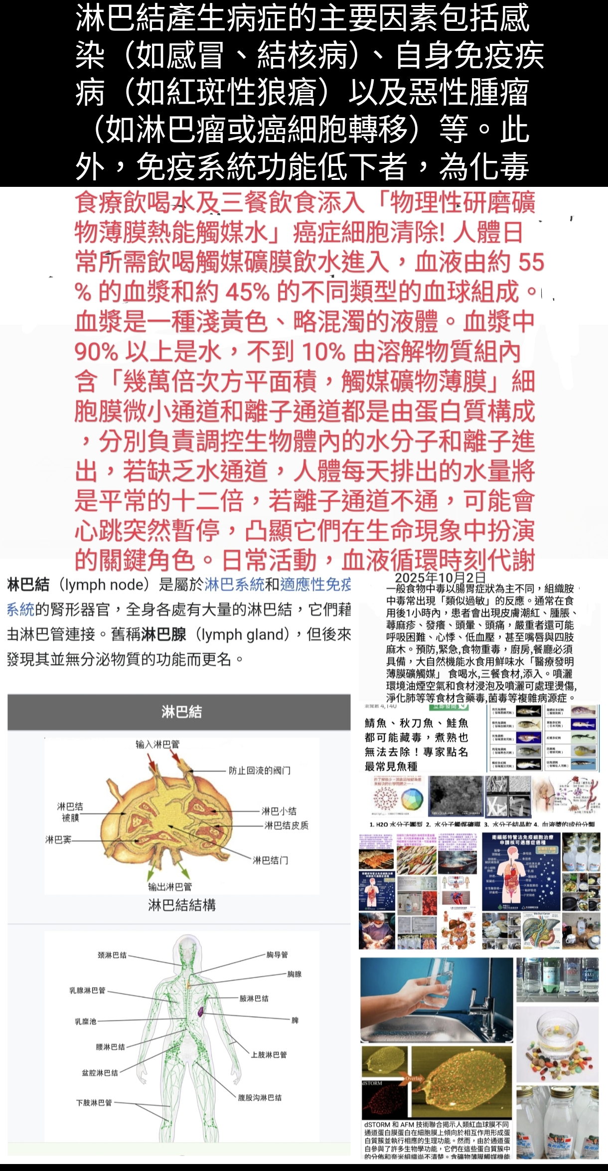 淋巴結産生病症的要因素 淋巴結産生病症的要因素