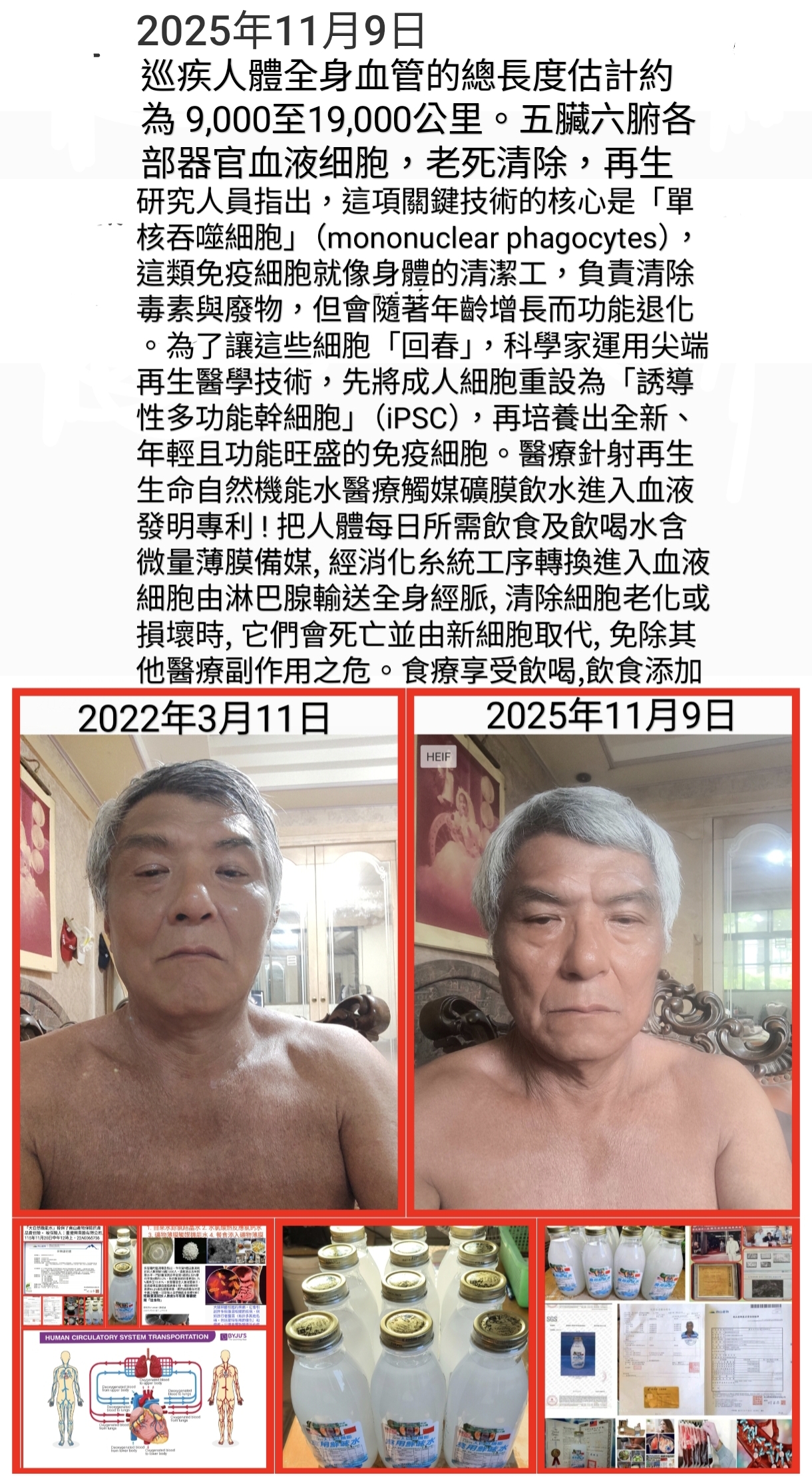 年輕功能旺盛的免疫細胞