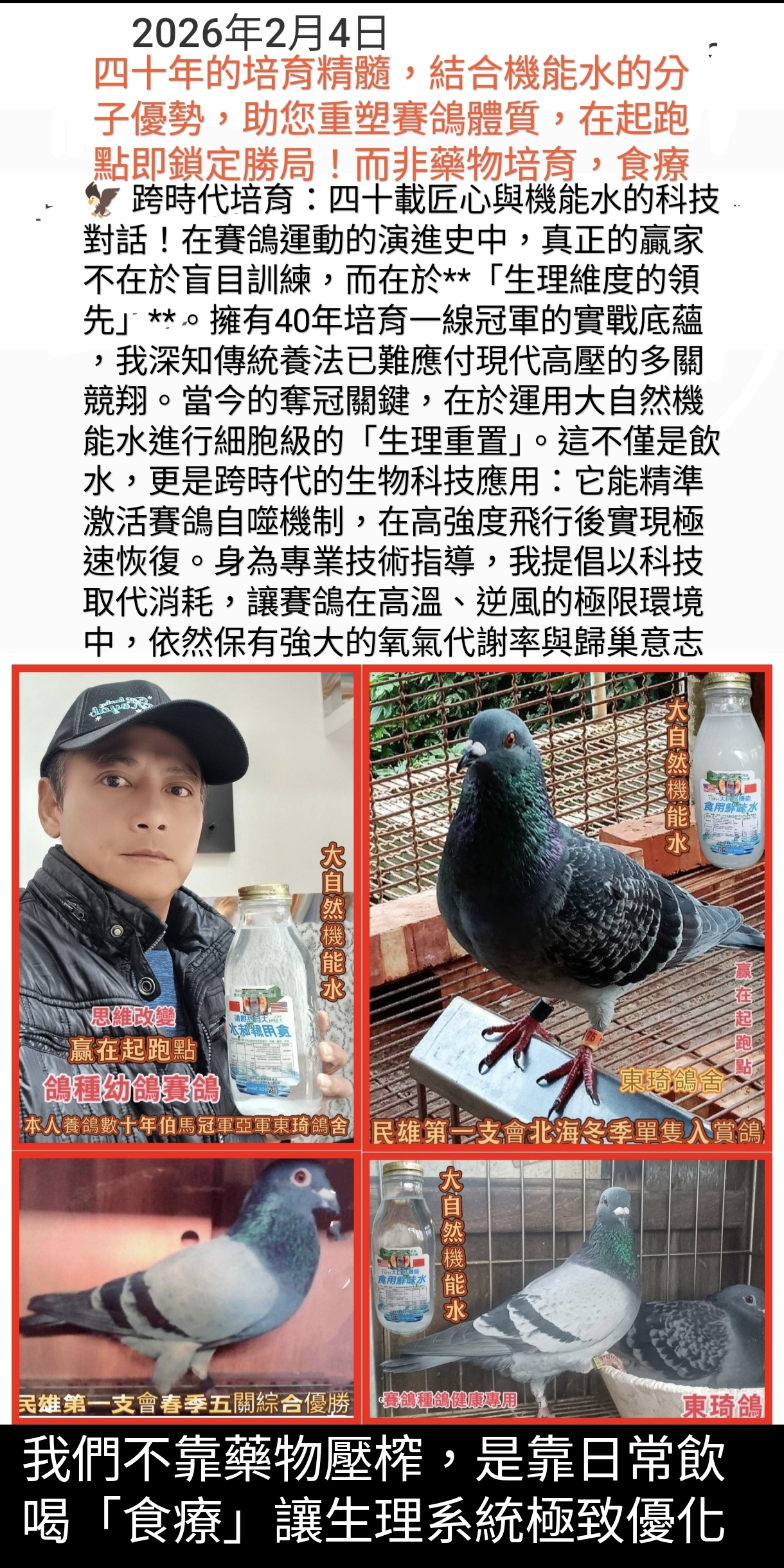 跨時代培育：從「經驗養鸽」到「精準生理調適」