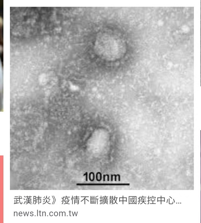 武漢冠狀病毒